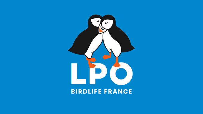 220905 - LPO_CASE_BH - RP-01.jpeg